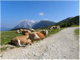 Planina Jezerca - Kalški greben